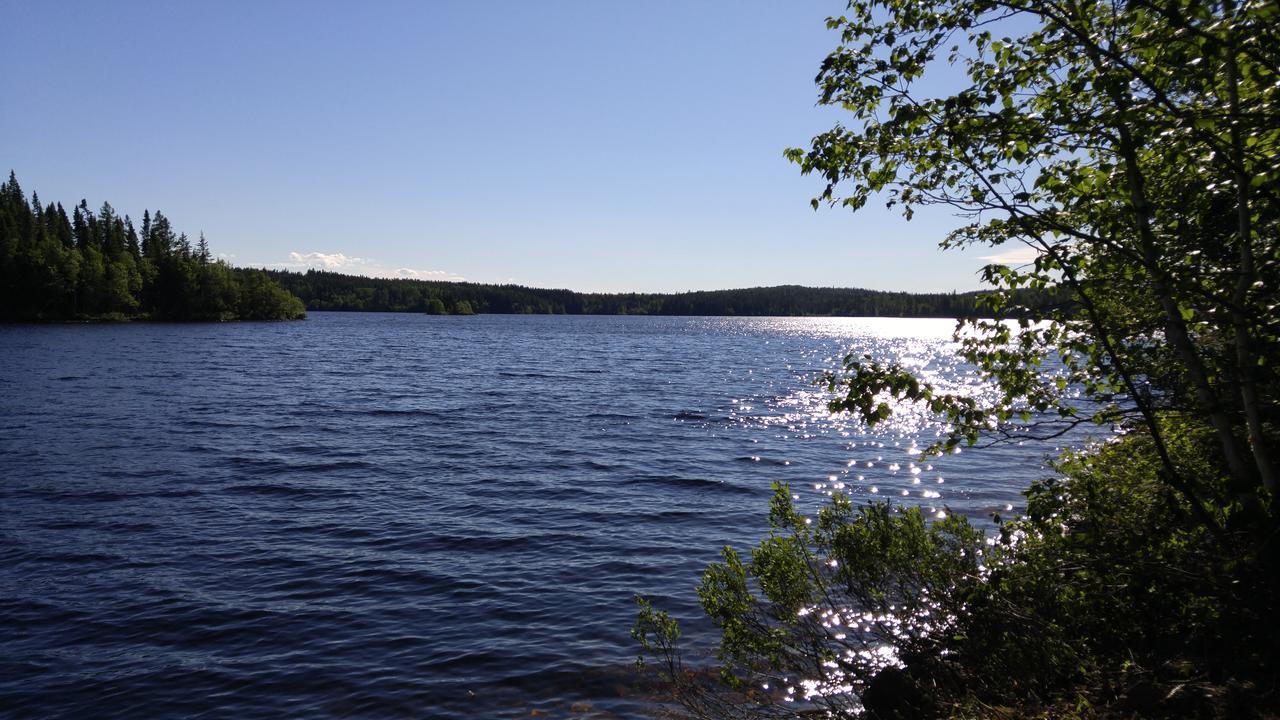 Residence Touristique Lodge Des Bois Saint-Félix-d'Otis Екстериор снимка