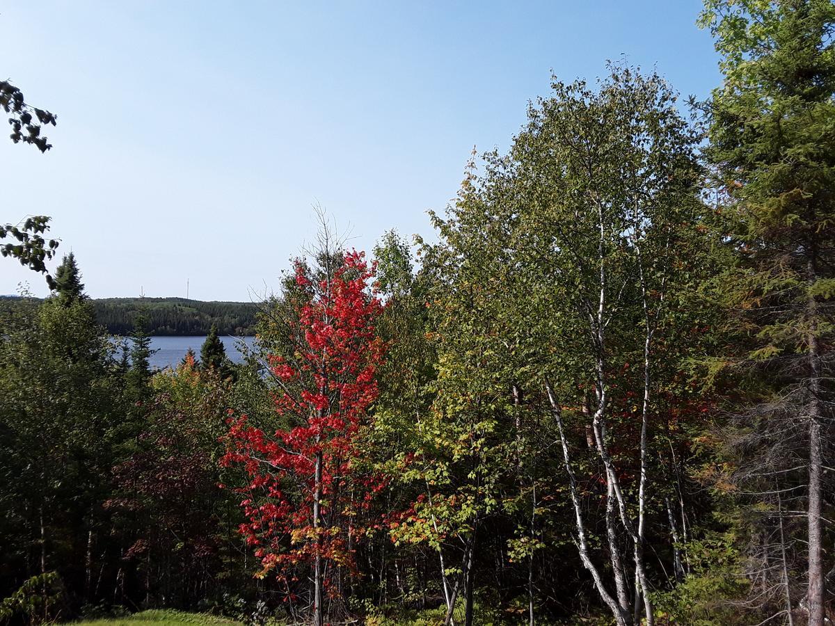 Residence Touristique Lodge Des Bois Saint-Félix-d'Otis Екстериор снимка