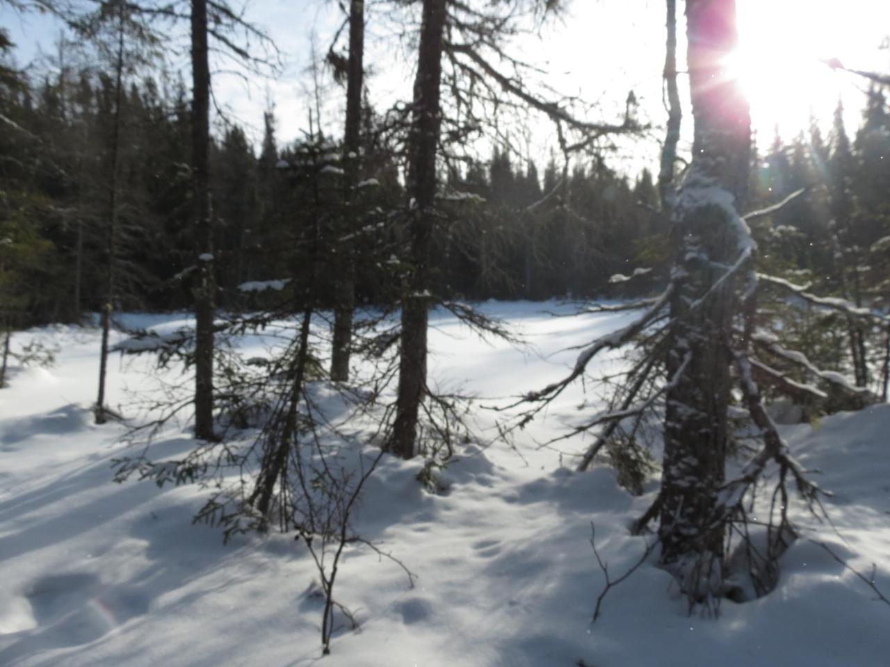 Residence Touristique Lodge Des Bois Saint-Félix-d'Otis Екстериор снимка